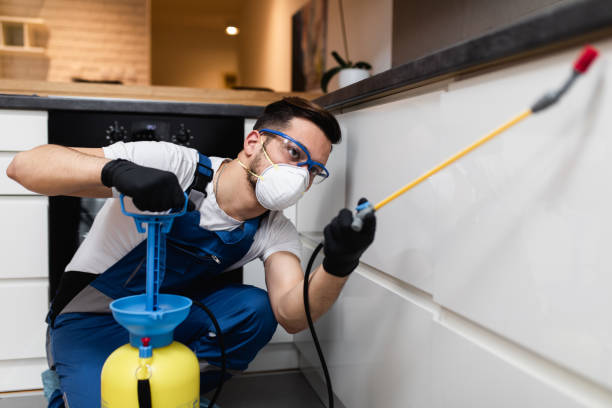 Best Affordable Pest Control Services  in Mission, SD