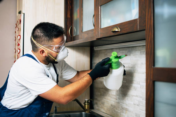 Best Best Pest Control Companies  in Mission, SD