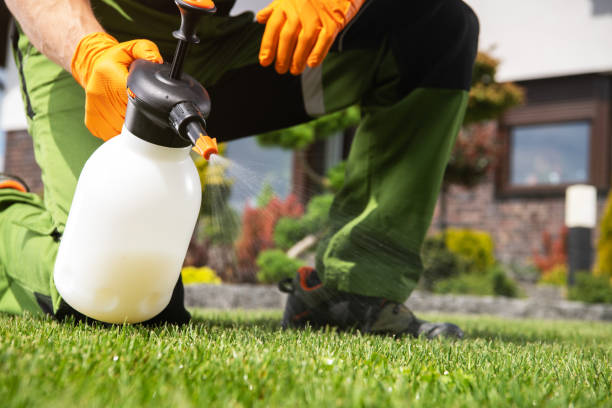 Best Exterminator Services  in Mission, SD