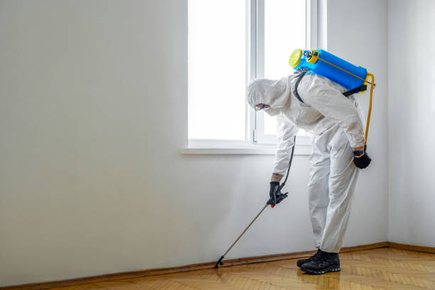 Best Termite Control Services  in Mission, SD