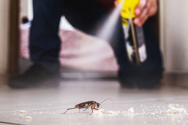 Best Pest Control for Homes  in Mission, SD