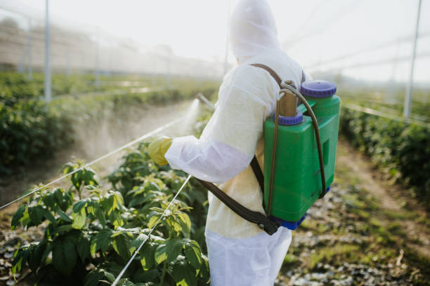 Best Local Pest Control Services  in Mission, SD